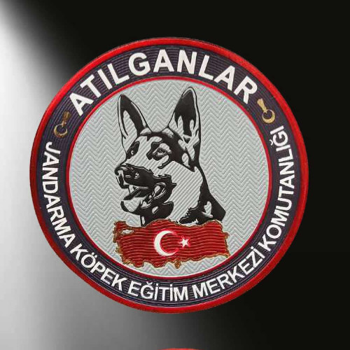 Jandarma Atılganlar 3D Arması, Yeni Model Tip Cırtlı, standart Ölçü, plastik