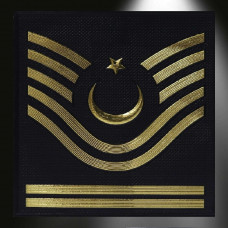 JANDARMA Asayiş Astsubay Kıdemli Baş Çavuş 3d Arması,2025 Yeni Tip Cırtlı, Standart Ölçü,1.sınıf