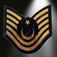 JANDARMA Asayiş Astsubay Kıdemli Üst Çavuş 3d Arması,2025 Yeni Tip Cırtlı,Standart Ölçü,1.sınıf